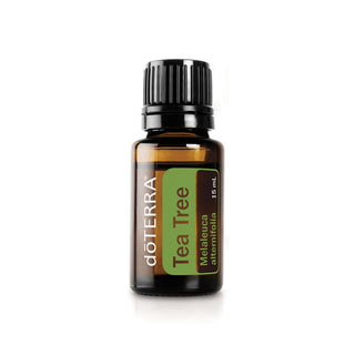 dōTERRA Teebaum | Teebaumöl